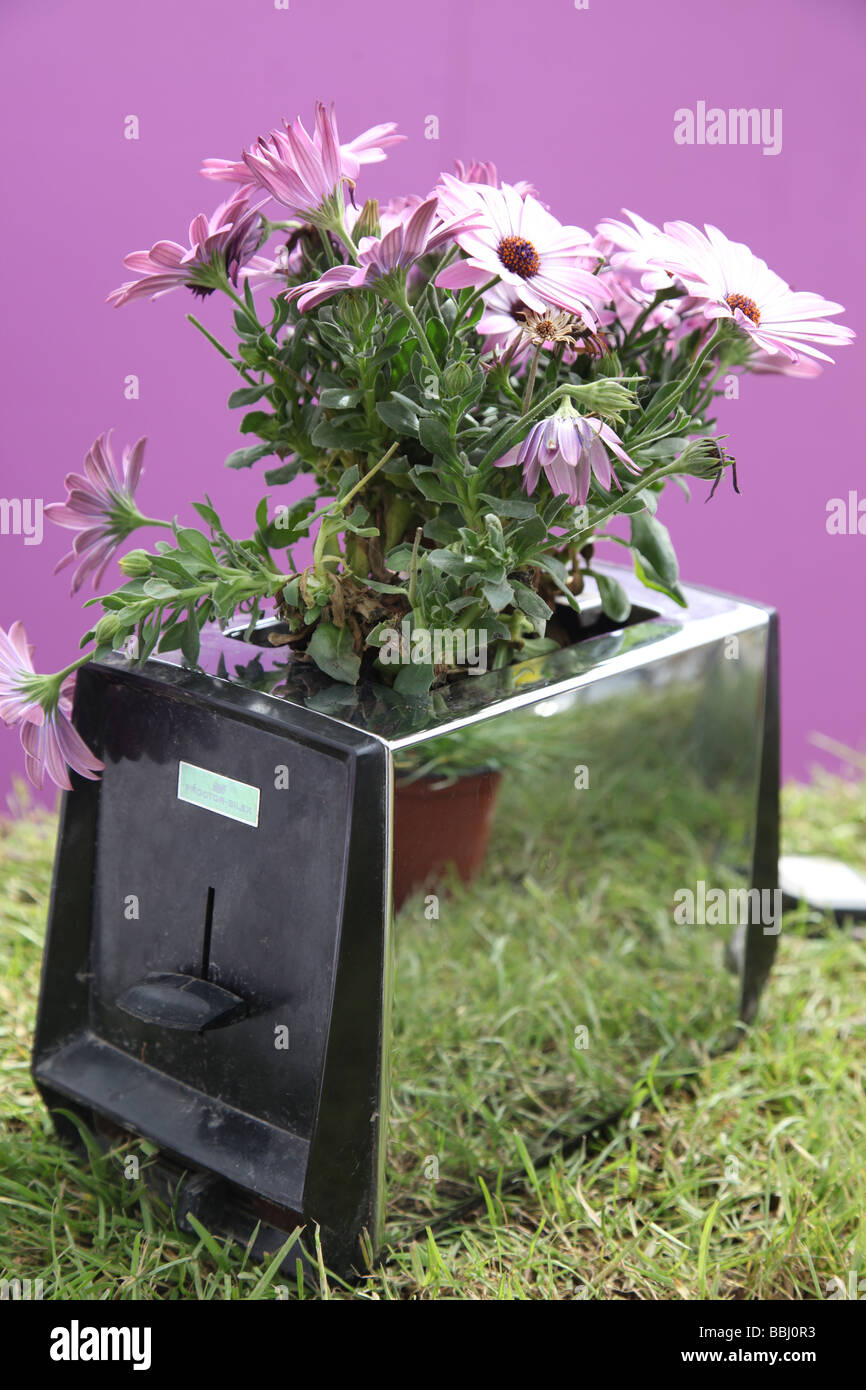 toaster used as a flower pot recycling exhibit at Bloom Ireland s top flower show Stock Photo