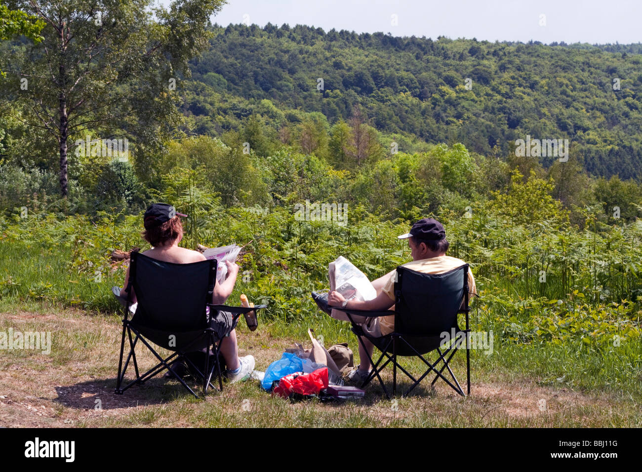 wendover-woods-buckinghamshire-stock-photo-alamy