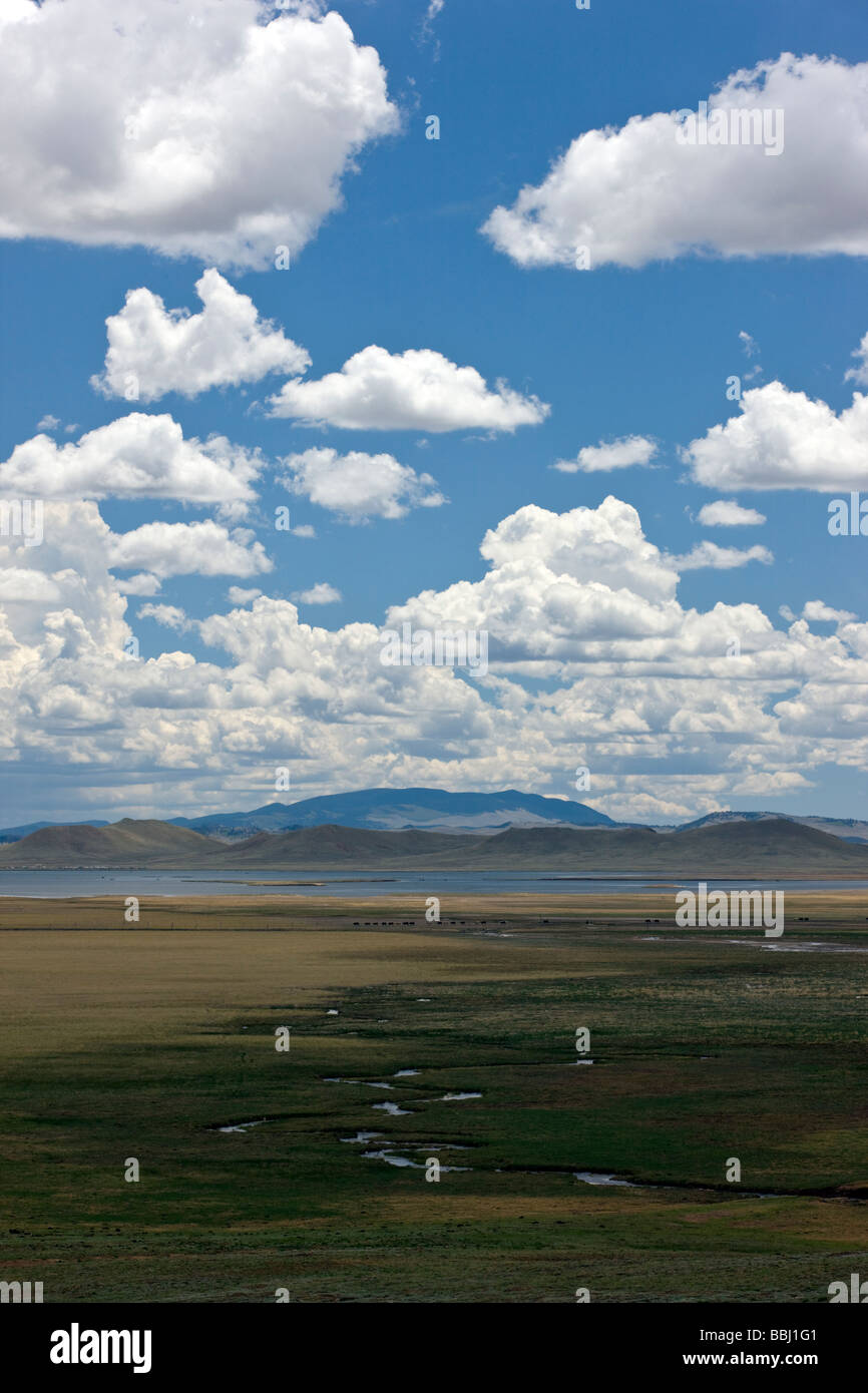 View south of ranchlands from Highway 285 north of Trout Creek Pass Park County Colorado USA Stock Photo