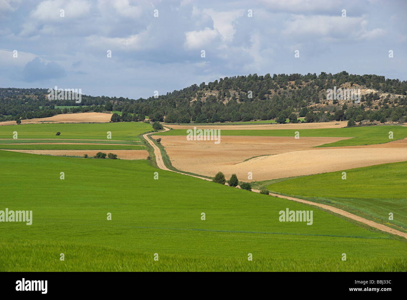 Gormaz Feld Gormaz field 01 Stock Photo - Alamy