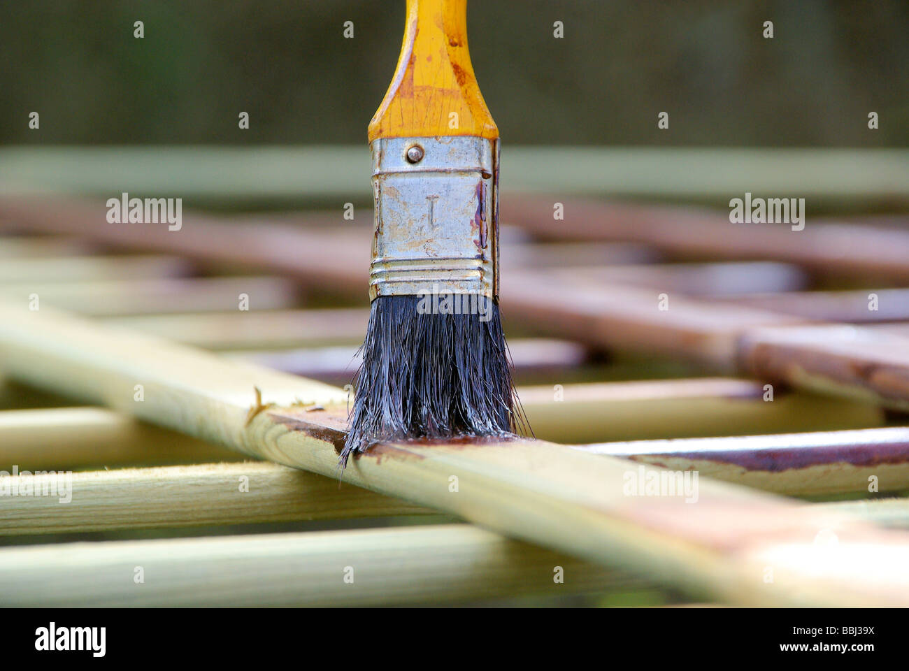 Malerpinsel paintbrush 20 Stock Photo