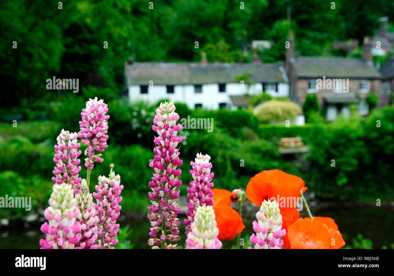 White country cottage on the banks of the River Severn in Ironbridge