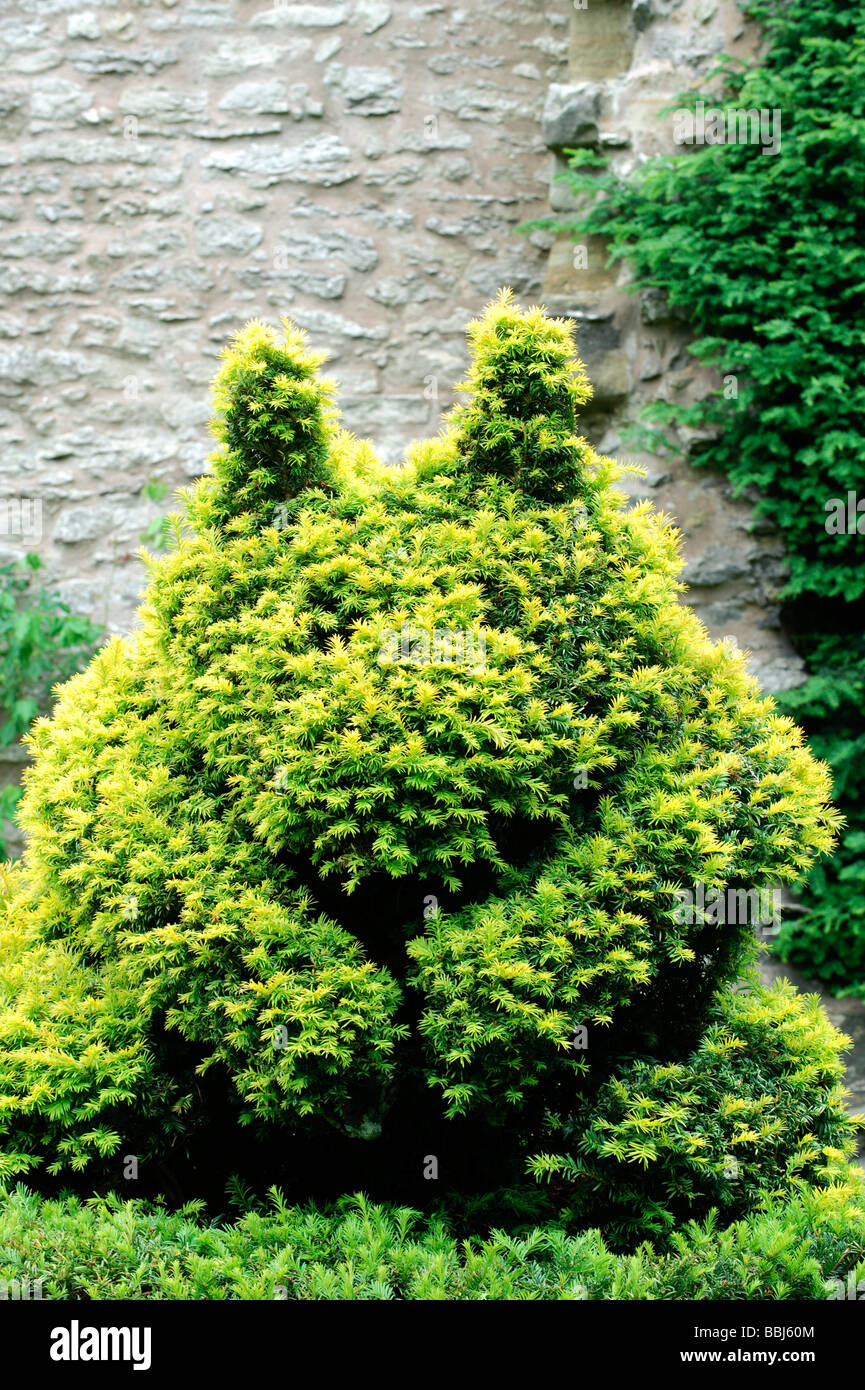 Topiary in the form of a squirrel at Wenlock Priory, Much Wenlock, Shropshire Stock Photo