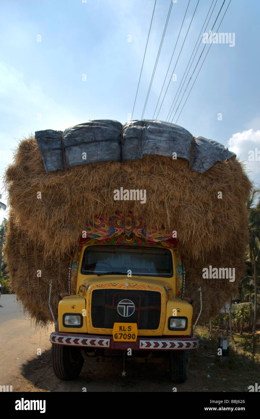 Truck Carrying Hay on the roadside kerala india Stock Photo