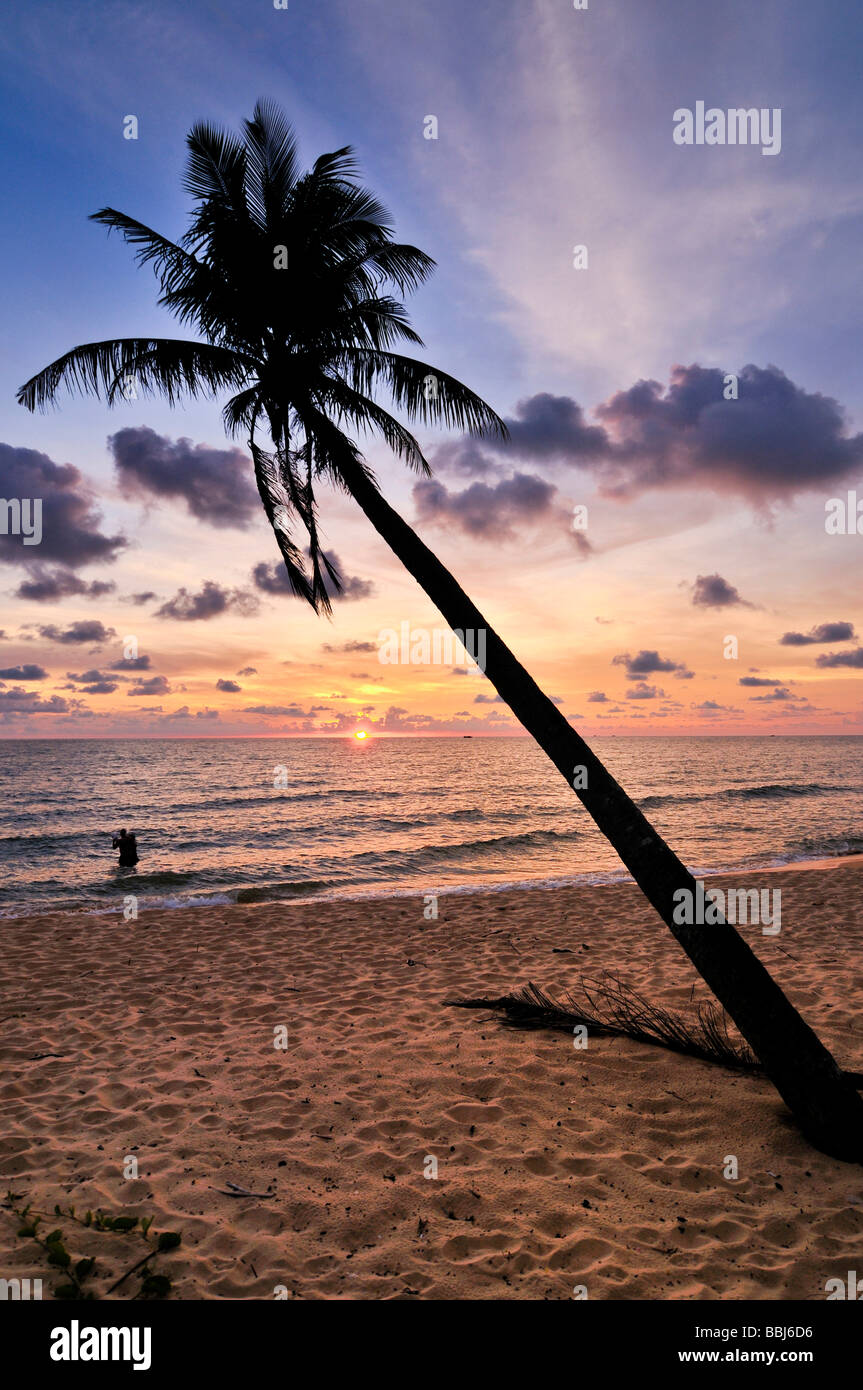 Palm tree at atmospheric sunset on the beach, sea, Phu Quoc, Vietnam, Asia Stock Photo