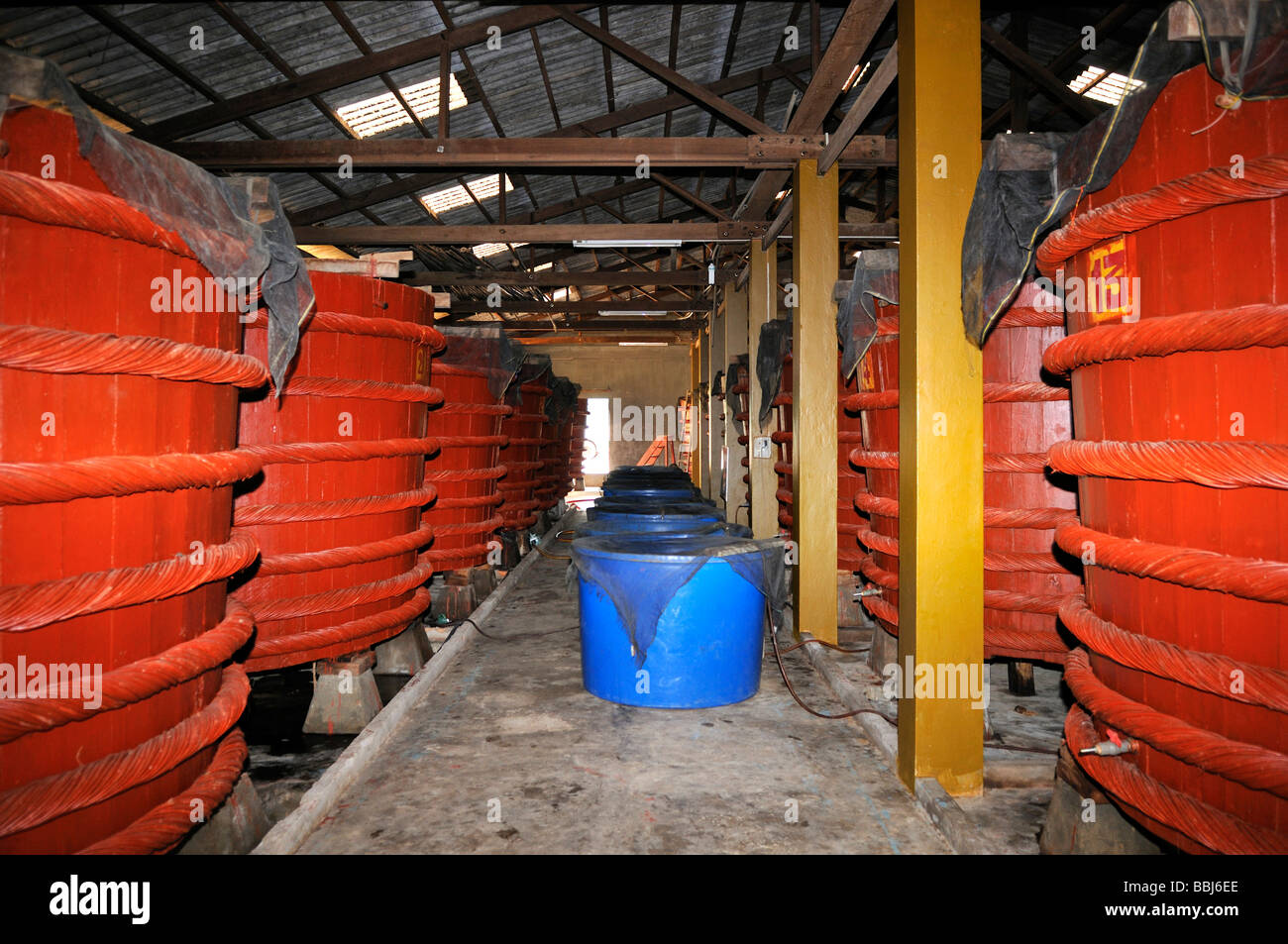 Warehouse with big red wooden barrels for fish sauce, fish sauce factory, Nuoc Mam, Phu Quoc, Vietnam, Asia Stock Photo