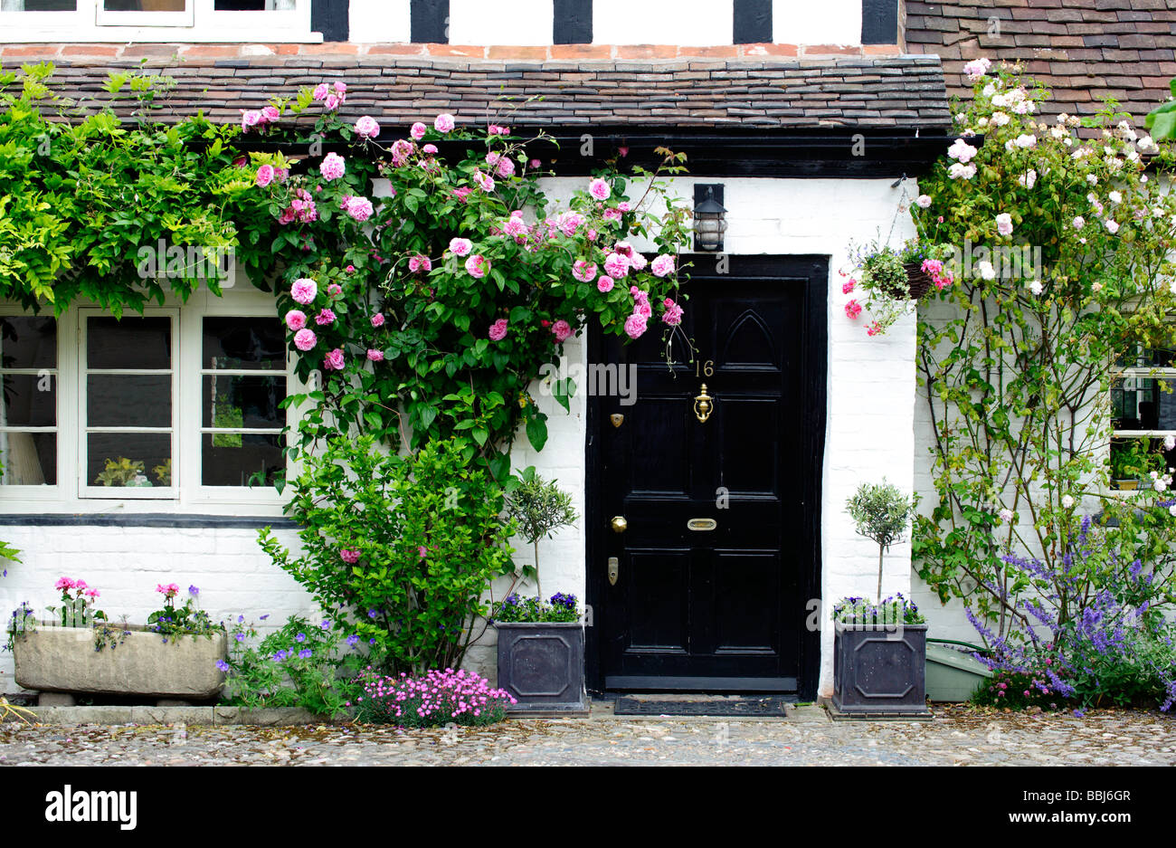 Cottage with roses round door hires stock photography and images Alamy