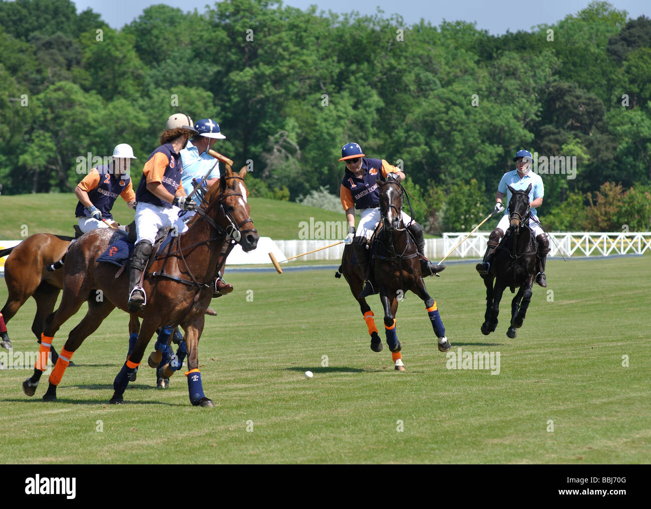 Polo match uk hires stock photography and images Alamy