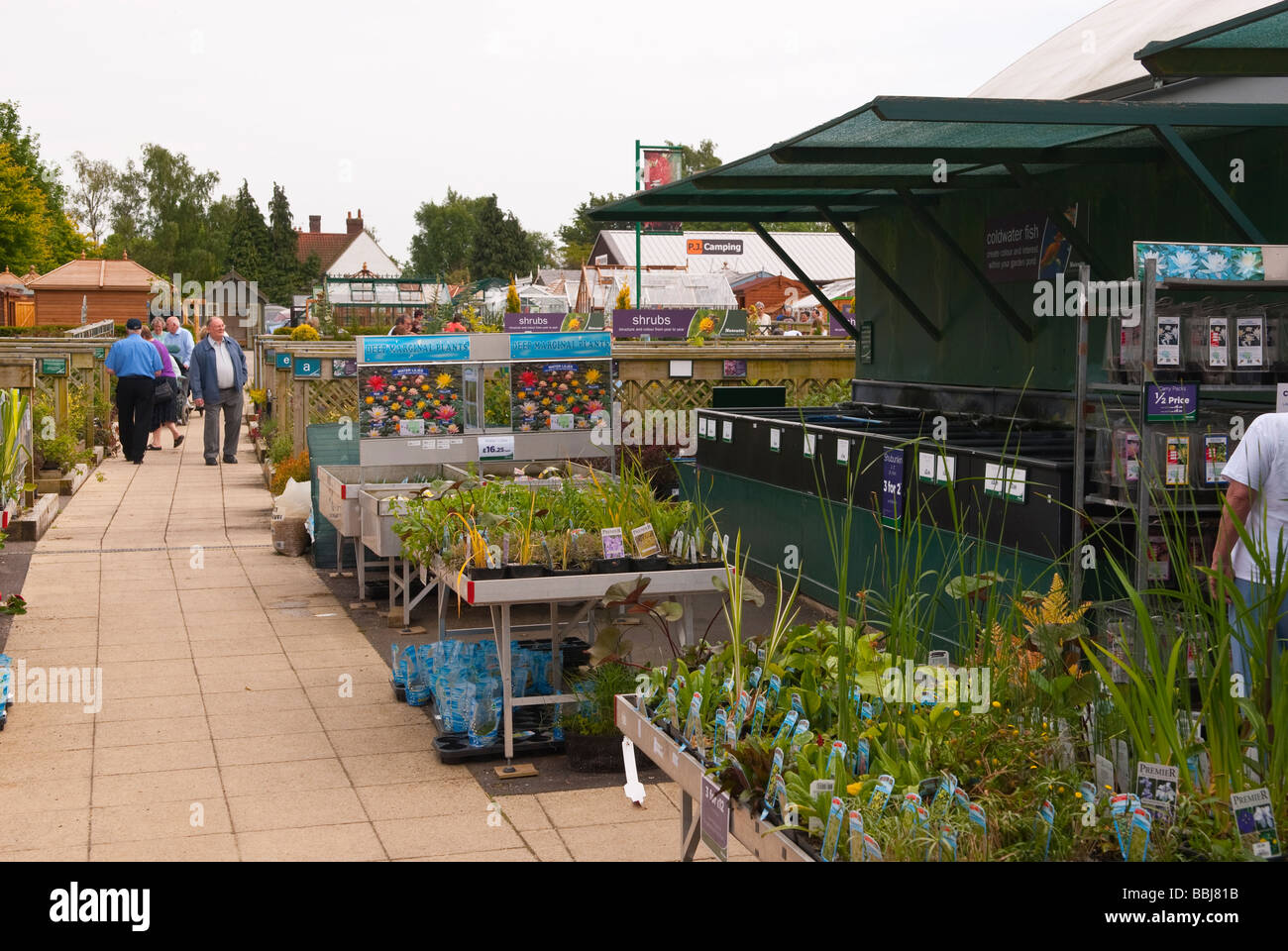 A general view of the Notcutts garden centre showing plants for sale in