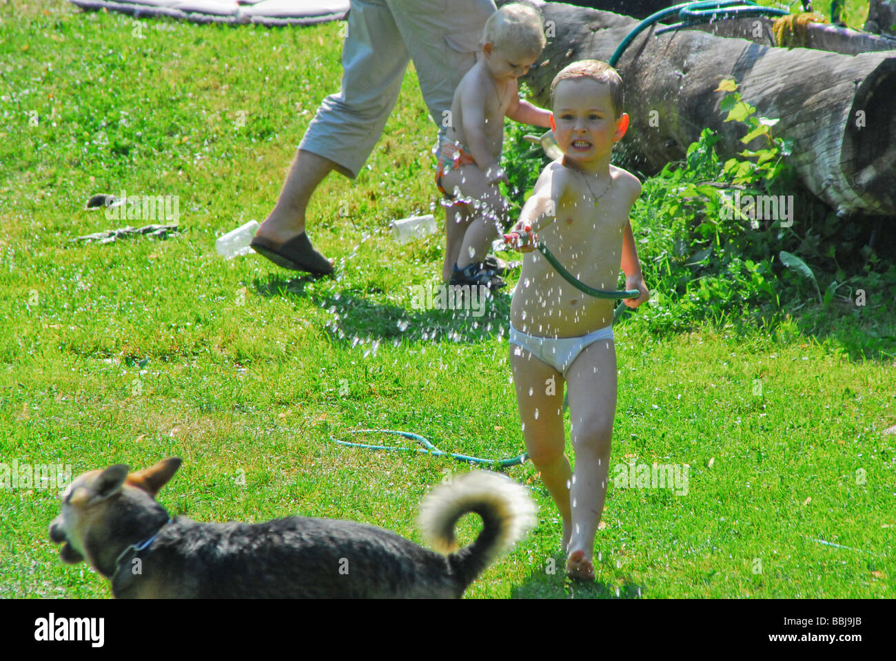 spraying dog with hose