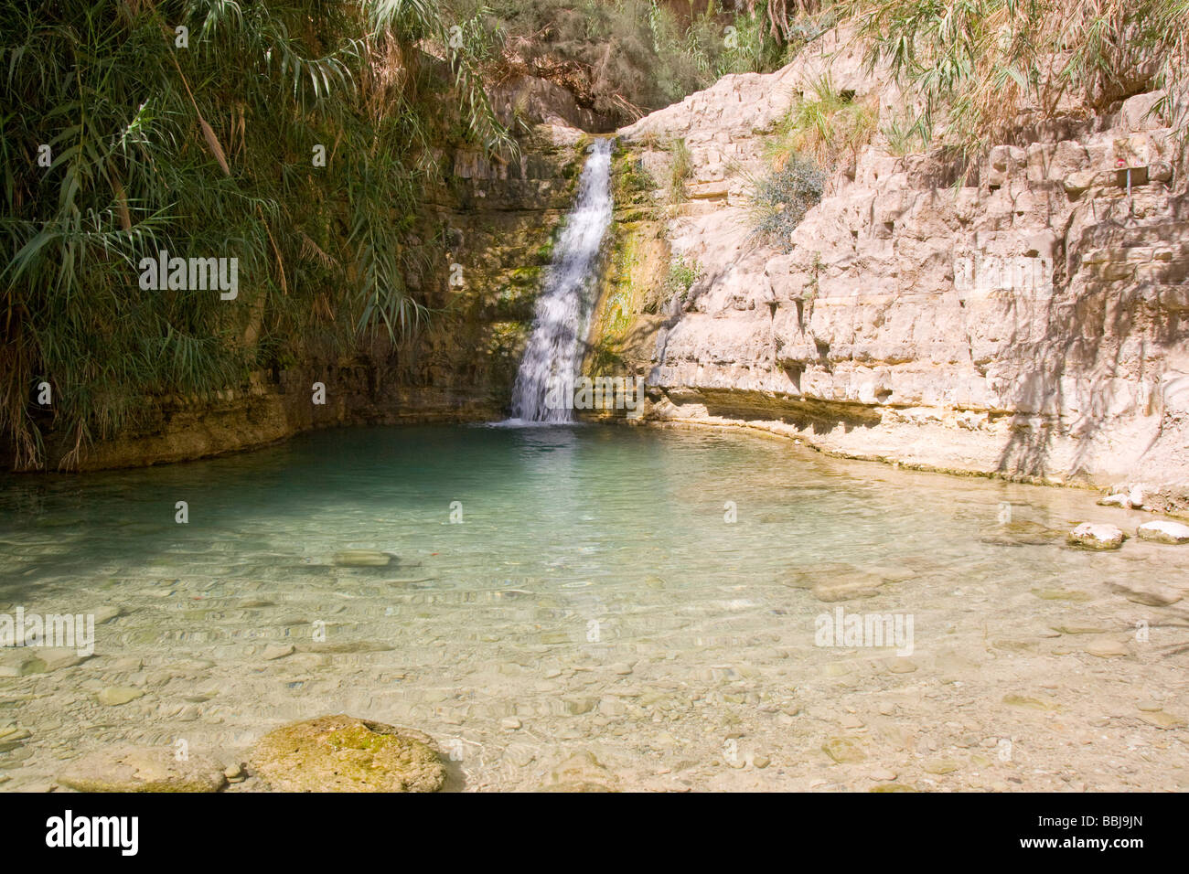 Israel Dead Sea Ein Gedi national park the lower waterfall Stock Photo
