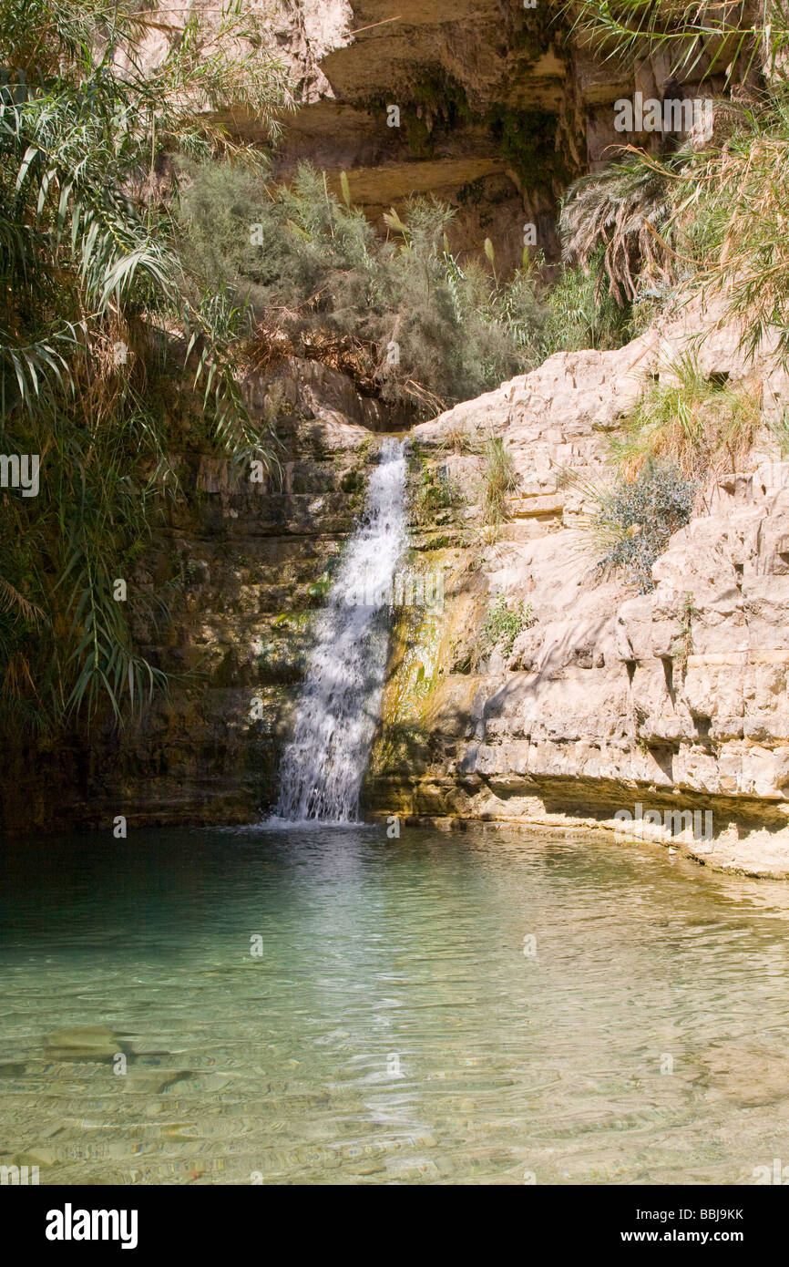 Israel Dead Sea Ein Gedi national park the lower waterfall Stock Photo