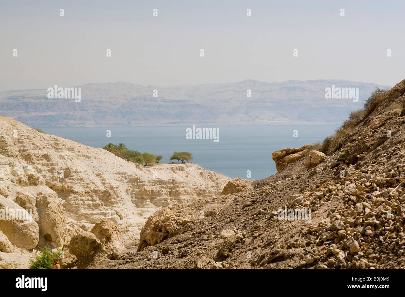 Israel Dead Sea Ein Gedi national park Stock Photo