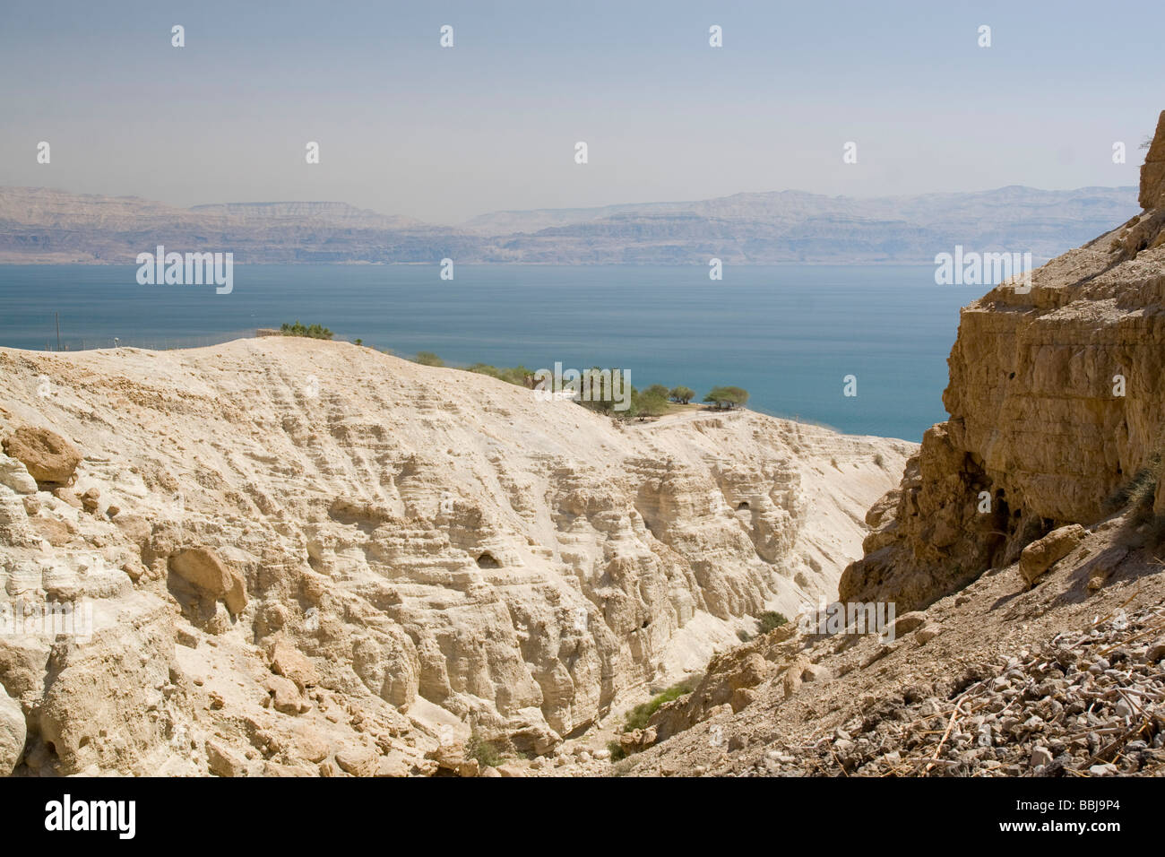 Israel Dead Sea Ein Gedi national park Stock Photo