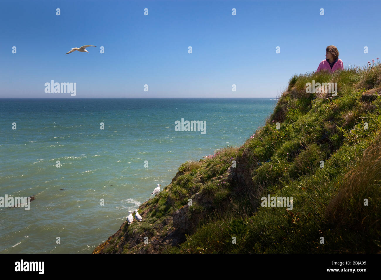 Cliff top view sea hi-res stock photography and images - Alamy