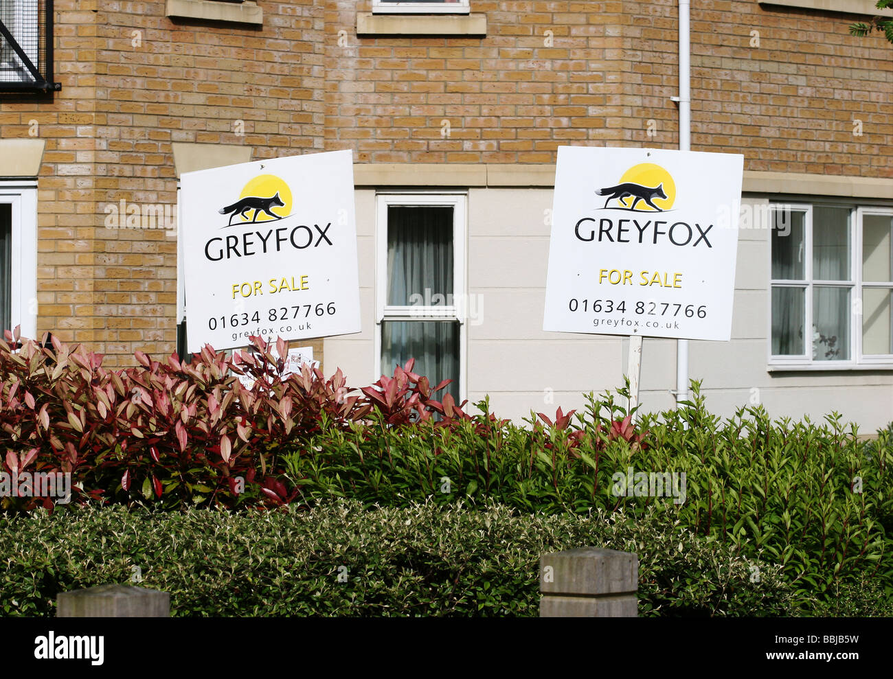 GreyFox for sale signs Kent UK Stock Photo