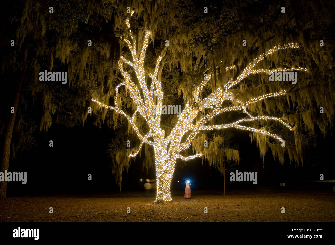 Festival of Lights Stephen Foster Folk Culture Center State Park White