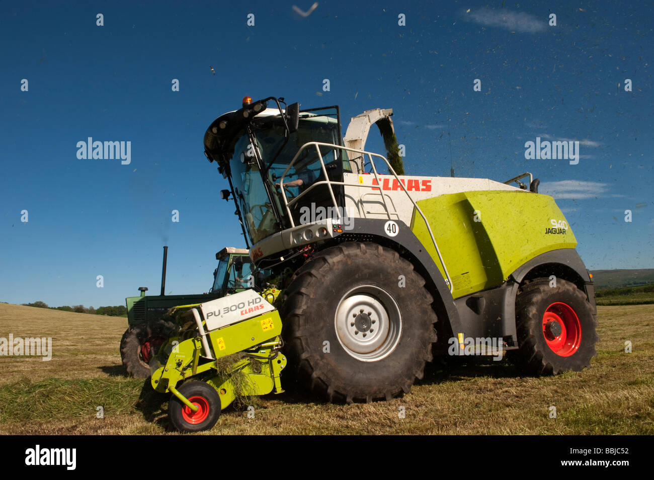 Claas 940 self propelled forage harvestor working in field Filling trailers with chopped grass Cumbria  Stock Photo