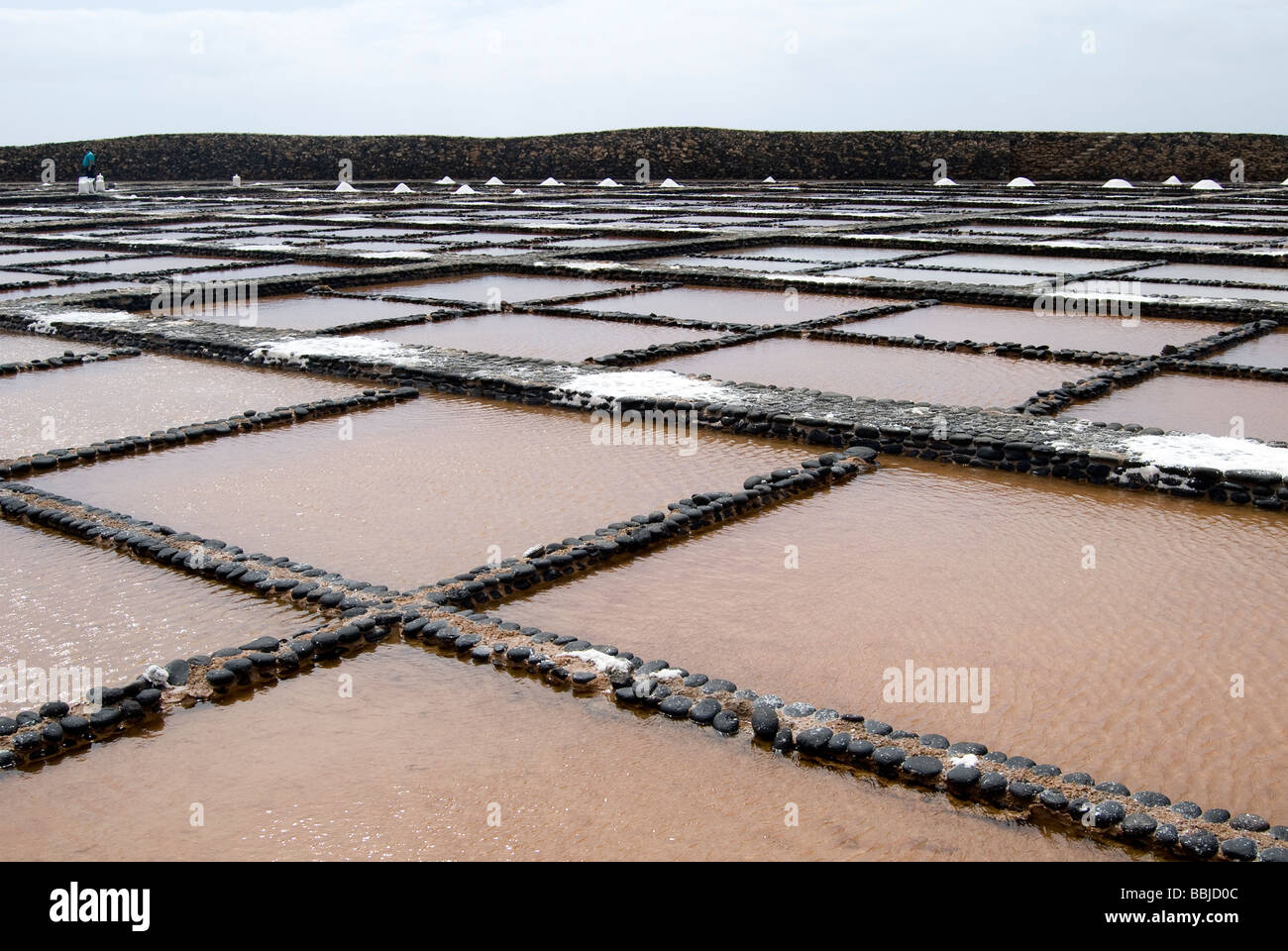 Las Salinas del Carmen Stock Photo