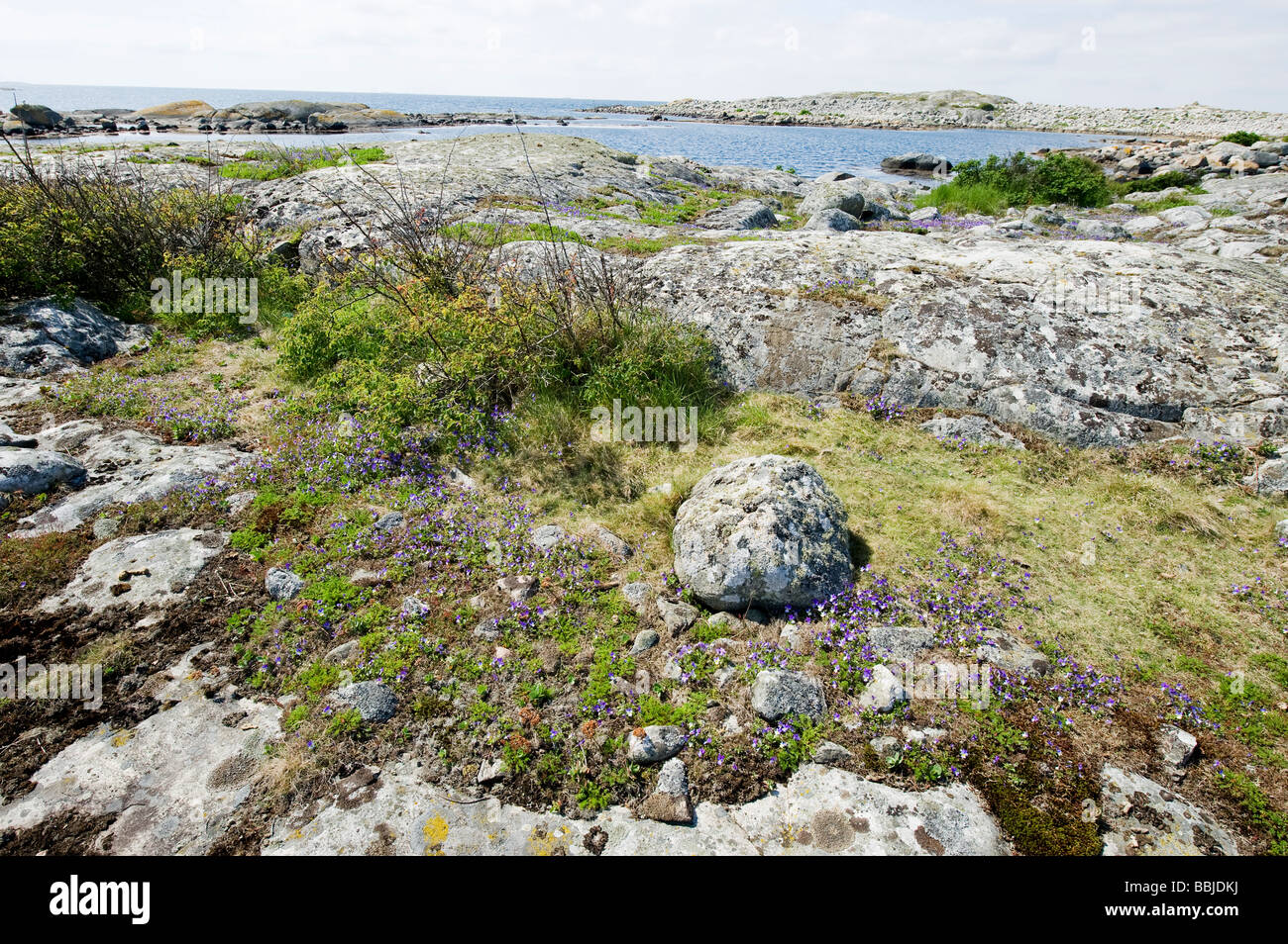 Landscape view from the west coast of Sweden Stock Photo