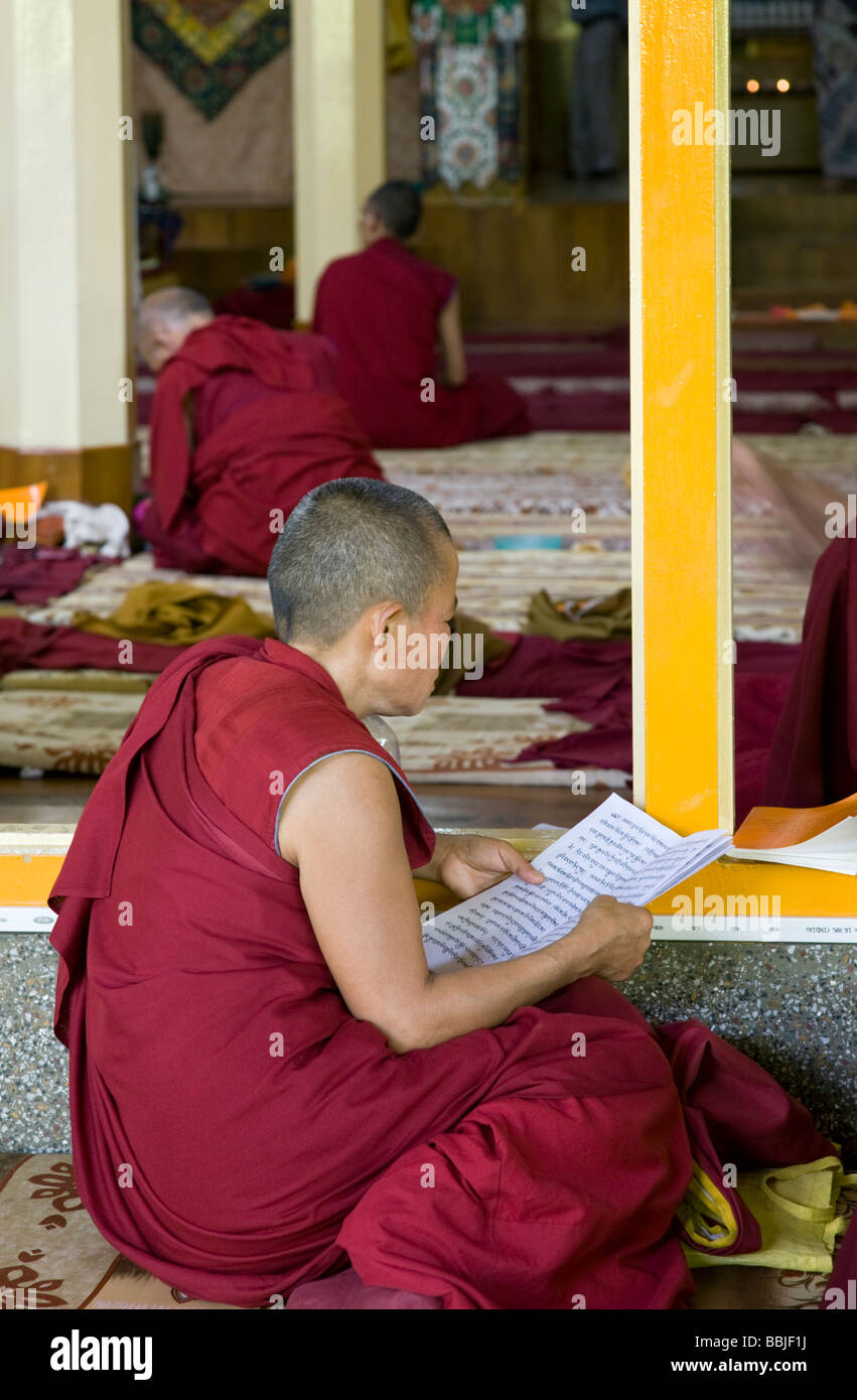 Buddhist monk reading the sacred texts. Tsuglagkhang temple. McLeod