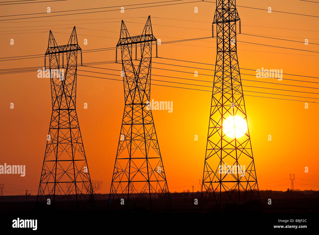 Power transmission towers at sunset, Manitoba, Canada. Stock Photo