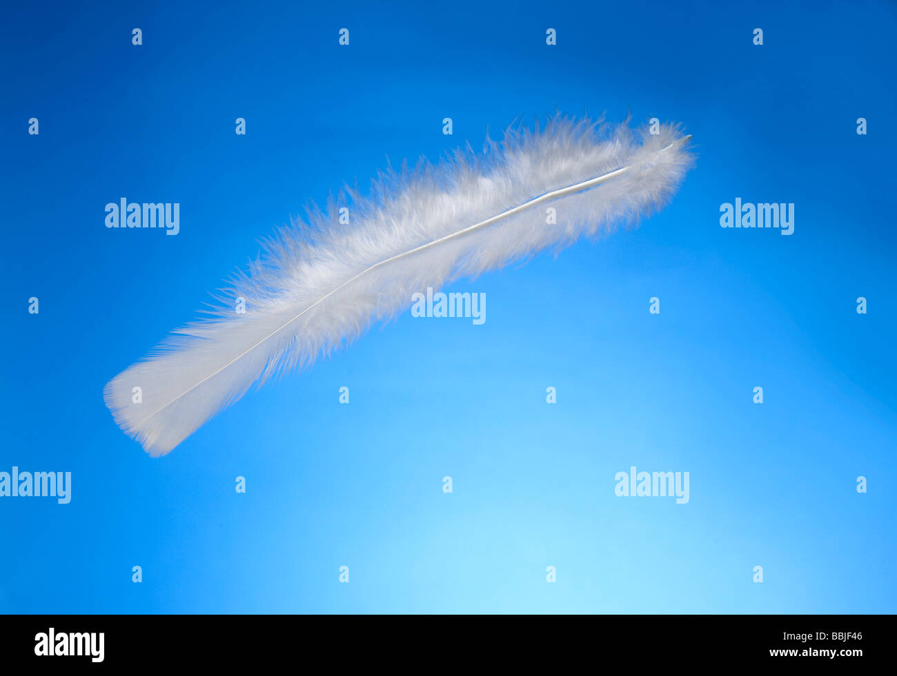 Move Feather High Resolution Stock Photography and Images - Alamy