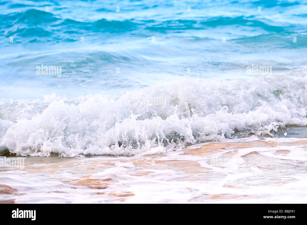 Tropical Caribbean sea waves breaking on the shore Stock Photo