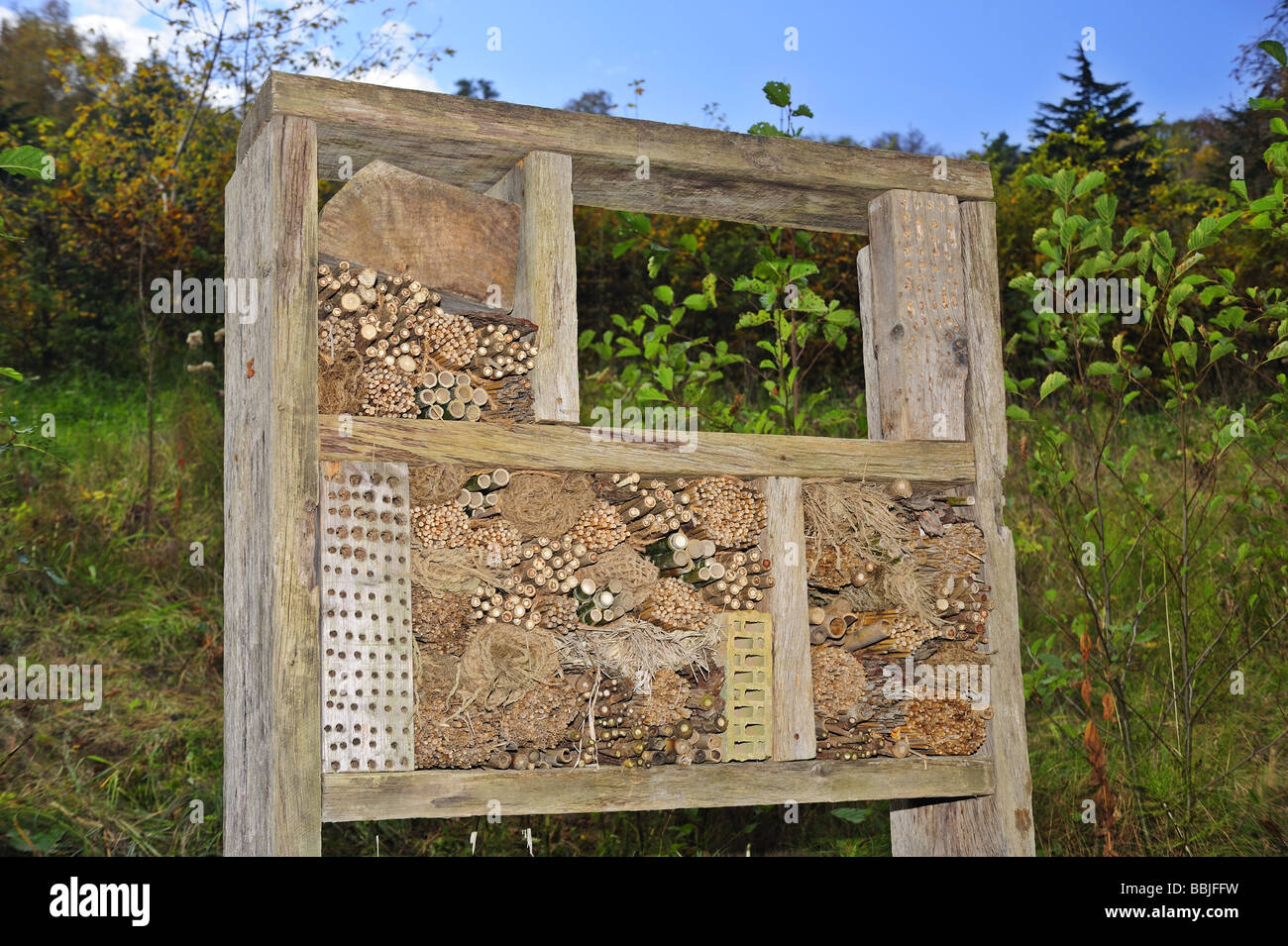 A nesting box for various species of bee and wasp set up in a Swiss nature reserve. Stock Photo