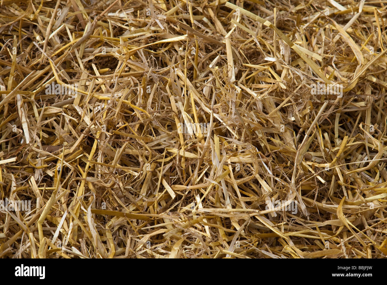 A photograph of straw Stock Photo Alamy