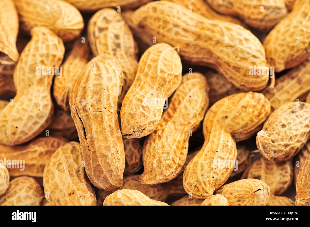 Closeup on pile of peanuts with shells Stock Photo