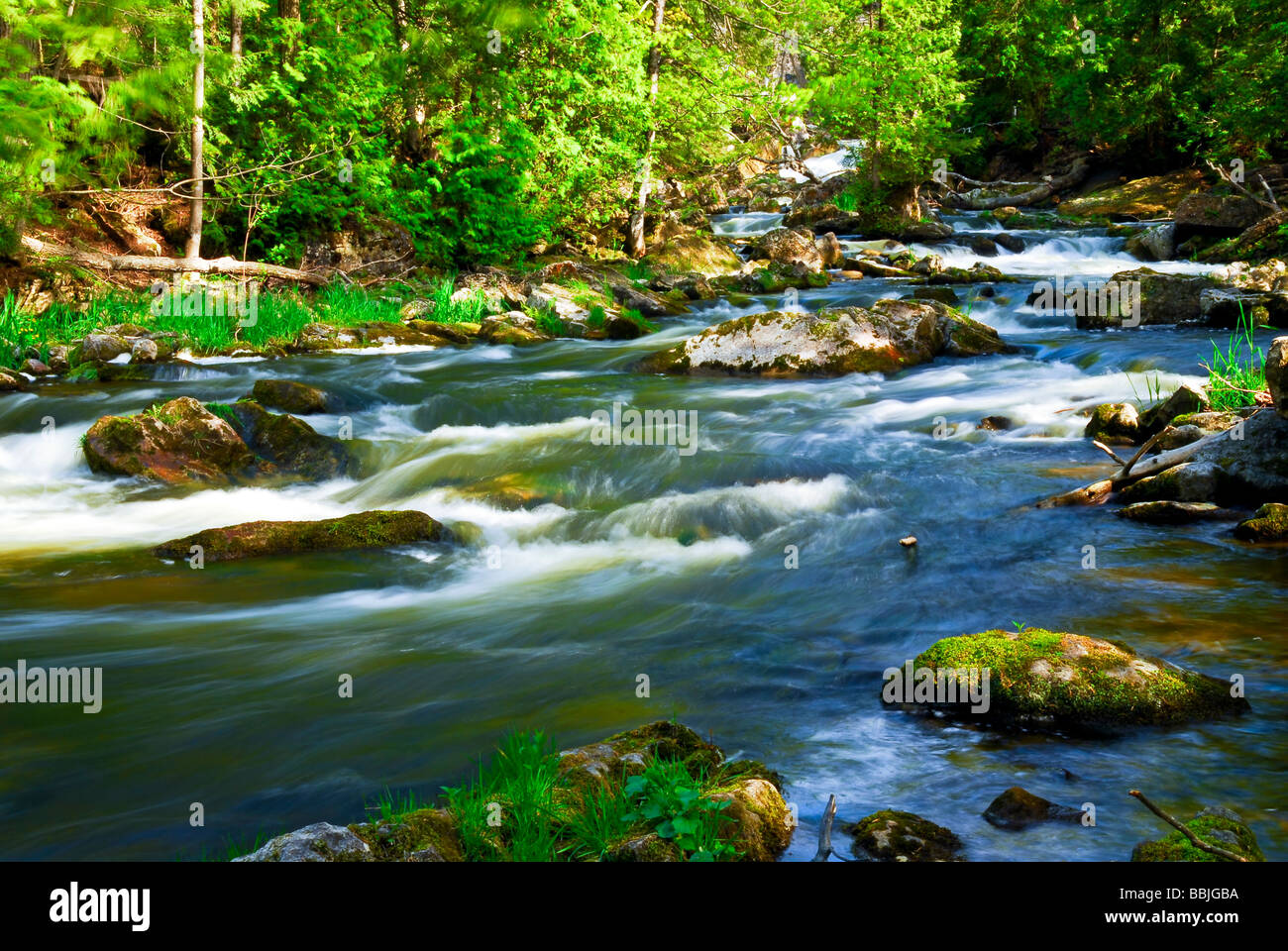 Water Rushing River Cascading rapid white rushing water hi-res stock photography and images ...