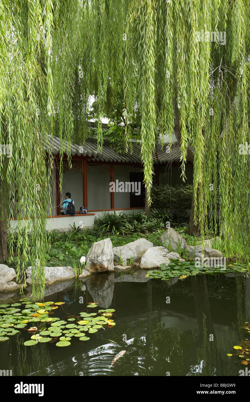 Chinese Garden Darling Harbour Sydney New South Wales Australia Stock