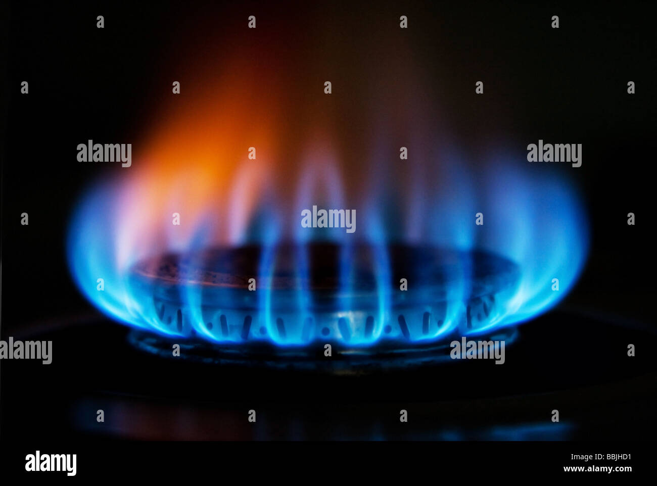 Burning hot blue yellow fire flames from a stove for cooking in a kitchen Stock Photo Alamy