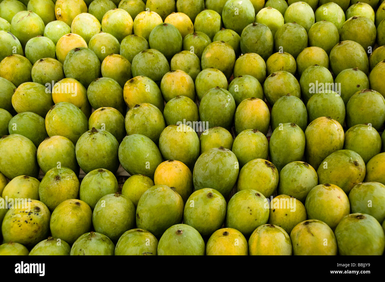 Fresh mango fruits on display Stock Photo Alamy