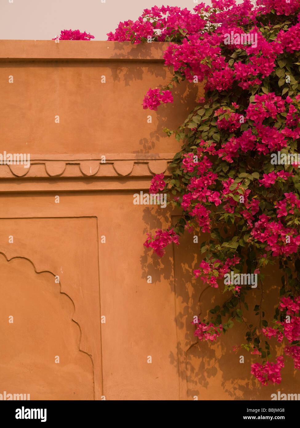 Growing in india hi-res stock photography and images - Alamy