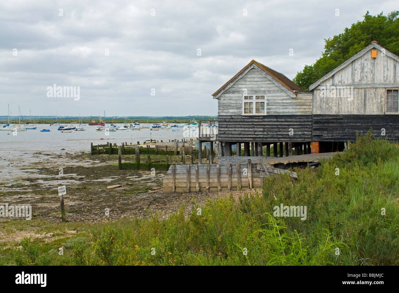 Old oyster huts at West Mersea. Stock Photo