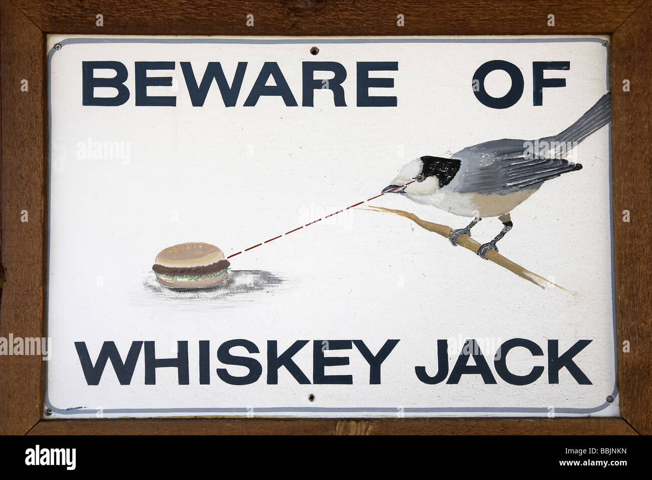 Beware of Whiskey Jack sign or Gray Jay on Whistler Mountain Stock Photo