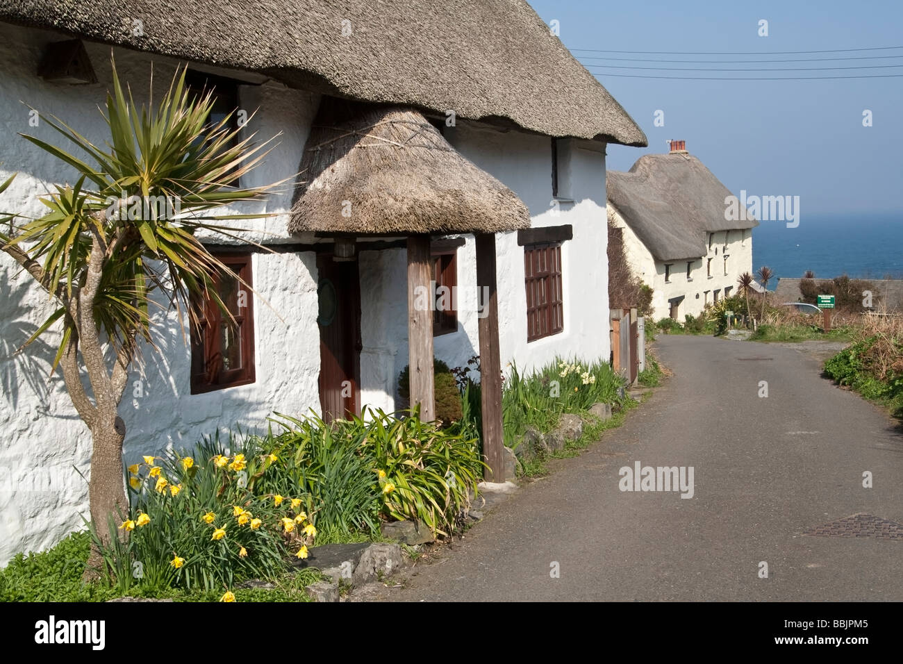 Thatched cottages, Cornwall, UK Stock Photo Alamy