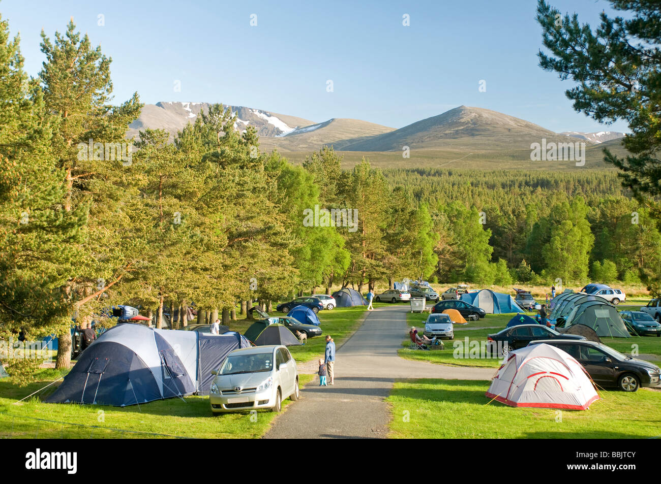 Glenmore Forest Campsite Aviemore Badenoch and Strathspey Highland Region. SCO 2482 Stock Photo