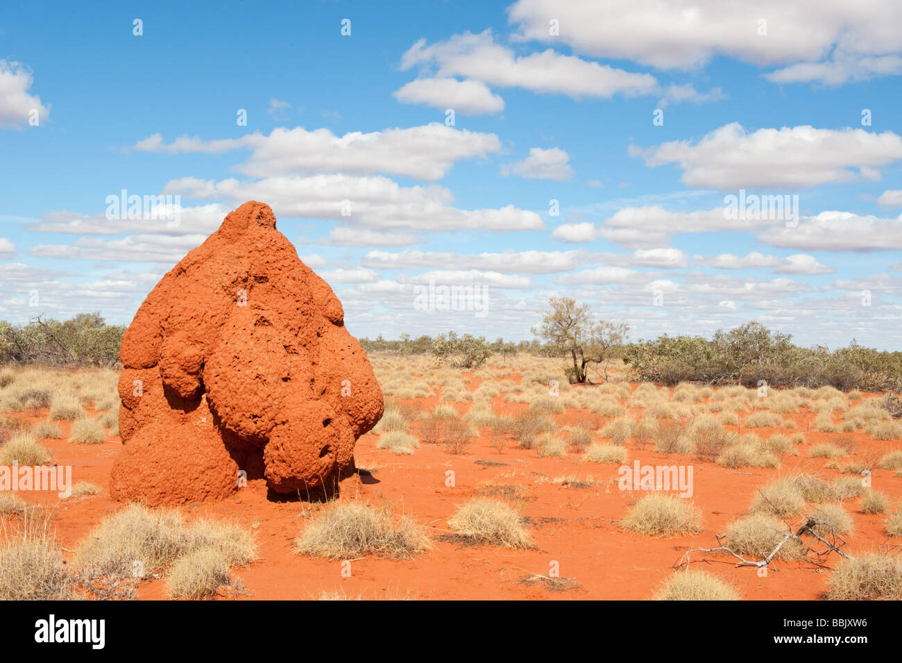Giant termite mound in Central Australia Stock Photo
