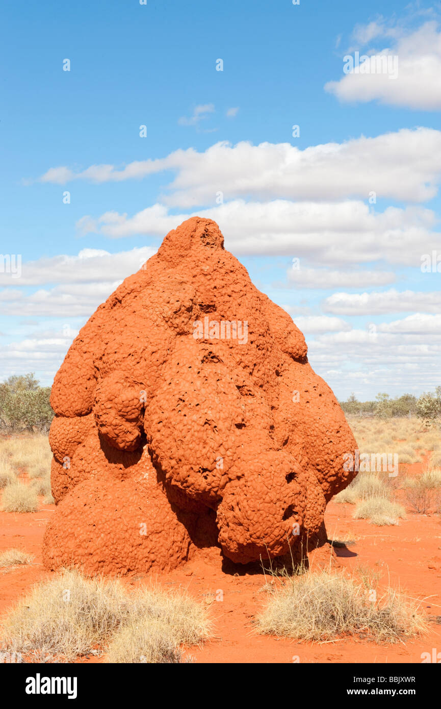 Giant termite mound Stock Photo