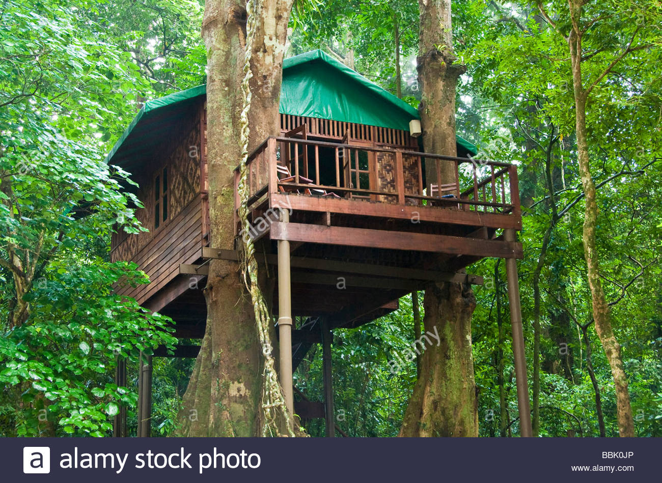 Jungle treehouse accommodation Stock Photo, Royalty Free Image ...