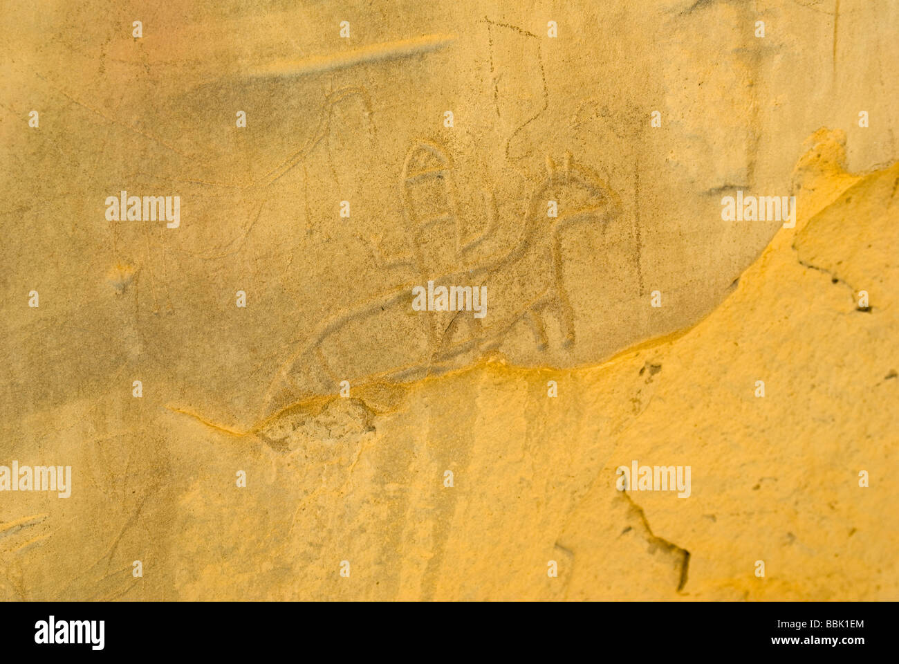 USA New Mexico Chaco Culture National Historical Park Petroglyphs near Pueblo Bonito on canyon wall Stock Photo