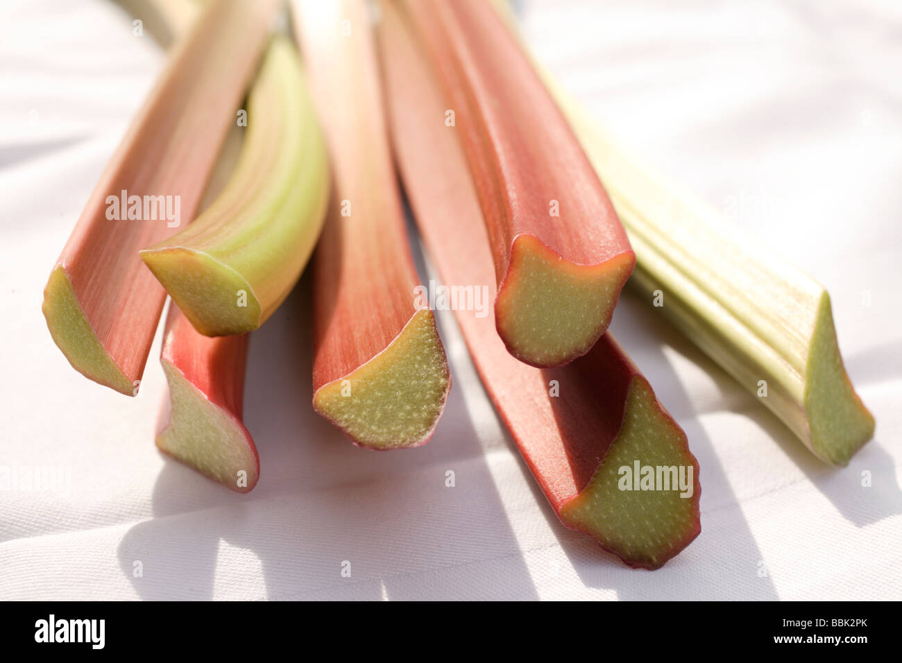 Cut Rhubarb Rheum rhabarbarum Stock Photo