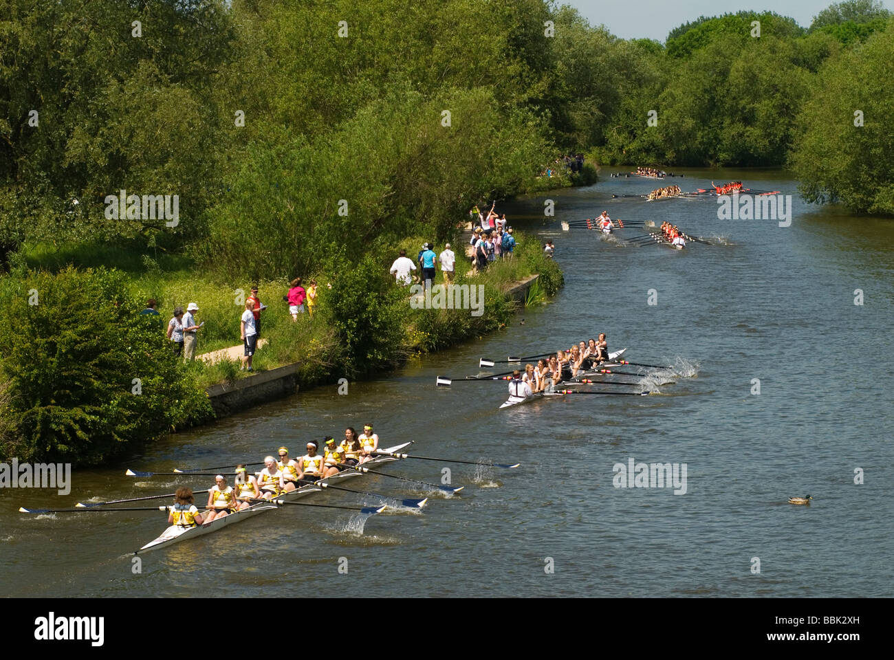 Oxford University Rowing Clubs Eights Week Rowing races on the River Isis actually River Thames in Oxford Oxfordshire 2009 2000s HOMER SYKES Stock Photo
