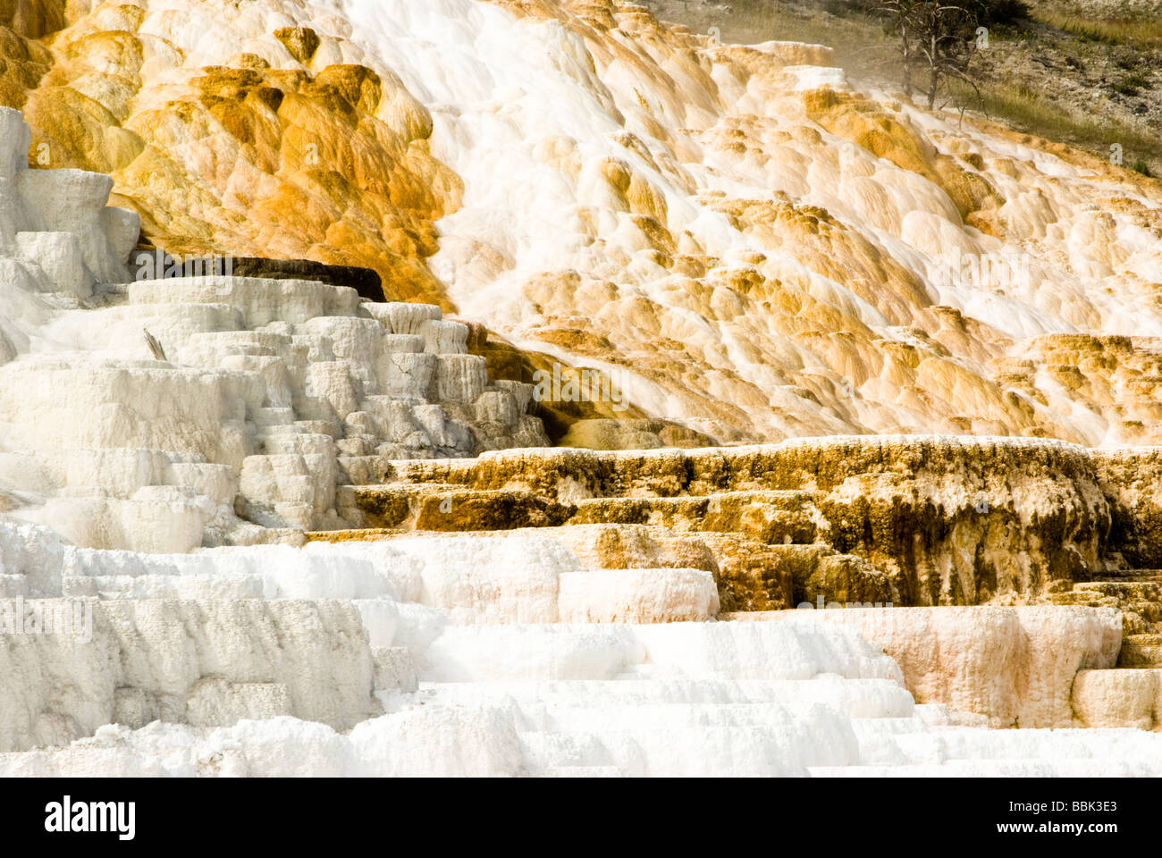 scenic view of Mammoth Hot Springs in Yellowstone National Park Stock Photo