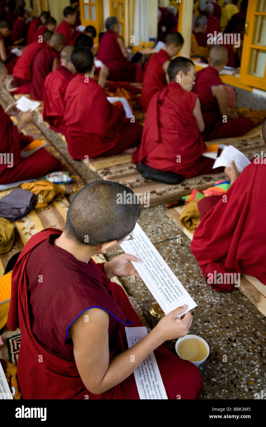 Buddhist monk reading the sacred texts. Tsuglagkhang Temple. McLeod