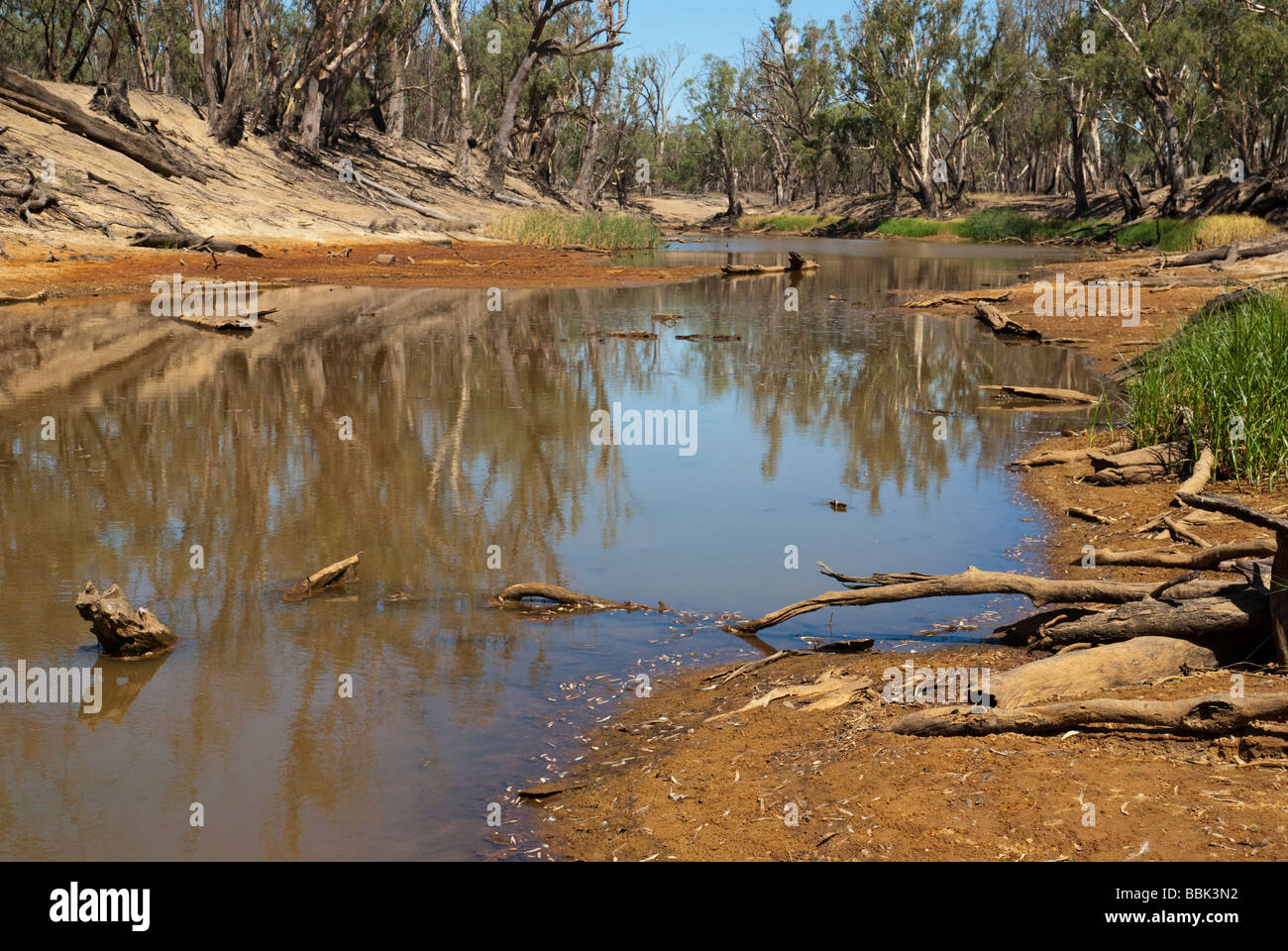 Environmental damage in Australia's Wakool River Stock Photo