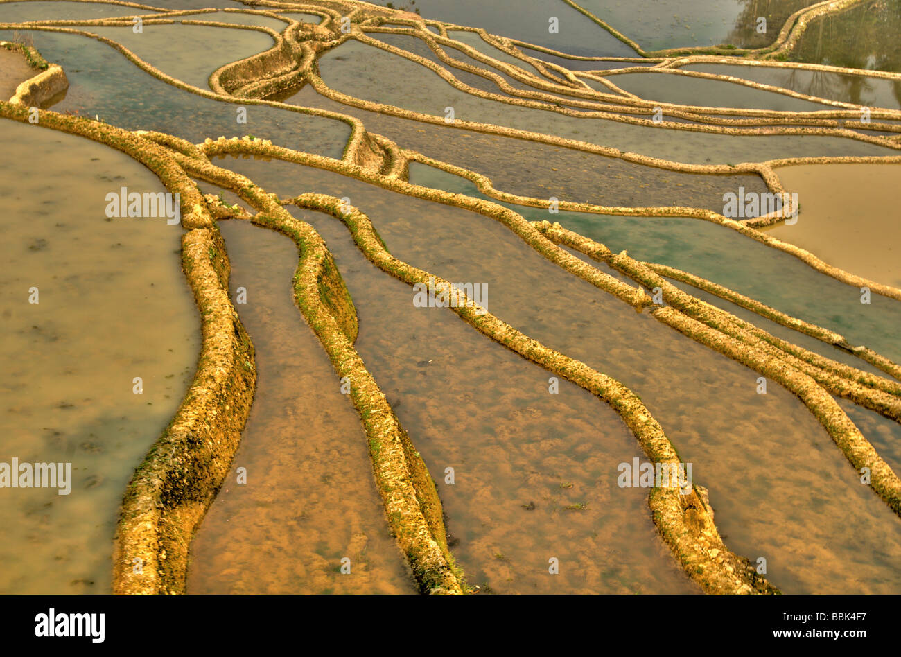 Dynamic yunnan hi-res stock photography and images - Alamy